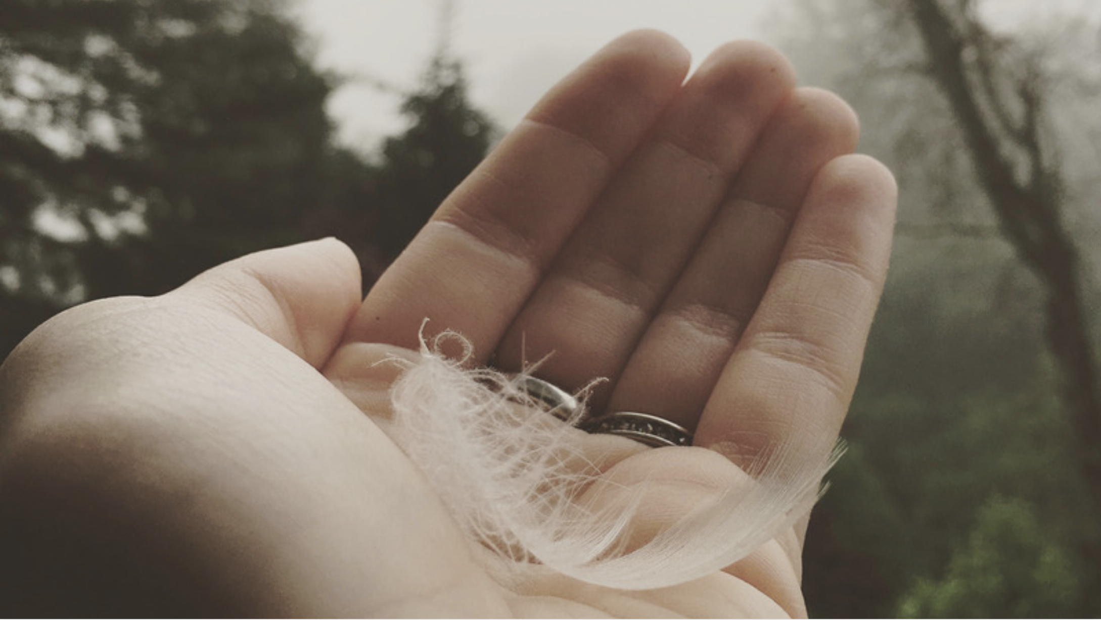 image of a hand holding a feather