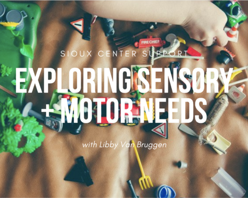 Exploring Sensory and Motor Needs